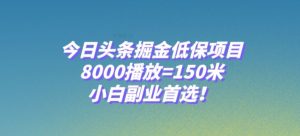 今日头条掘金低保项目，8000播放=150米，小白副业首选【揭秘】-苏柒资源库