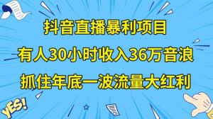 抖音直播暴利项目,有人30小时收入36万音浪,公司宣传片年会视频制作,抓住年底一波流量大红利【揭秘】-苏柒资源库
