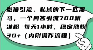 怎么搞精准创业粉?微信新赛道,每天一小时,利用Ai一个问答日引100精准粉-苏柒资源库
