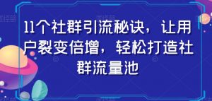 11个社群引流秘诀,让用户裂变倍增,轻松打造社群流量池-苏柒资源库