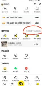 咸鱼平台零货源带货新玩法!平板冷门赛道轻松赚大钱,简单操作高收益【揭秘】-苏柒资源库