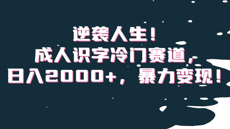 逆袭人生！成人识字冷门赛道，日入2000+，暴力变现！【揭秘】-苏柒资源库