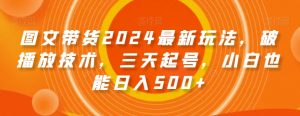 图文带货2024最新玩法,破播放技术,三天起号,小白也能日入500+【揭秘】-苏柒资源库
