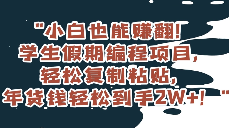 小白也能赚翻！学生假期编程项目，轻松复制粘贴，年货钱轻松到手2W+【揭秘】-苏柒资源库