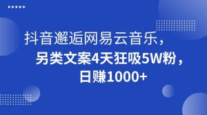抖音邂逅网易云音乐,另类文案4天狂吸5W粉,日赚1000+【揭秘】-苏柒资源库
