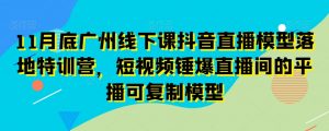11月底广州线下课抖音直播模型落地特训营,短视频锤爆直播间的平播可复制模型-苏柒资源库