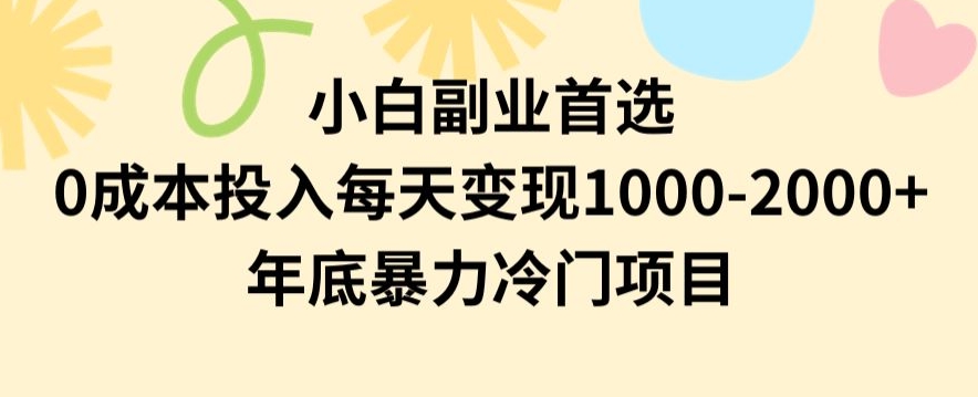 小白副业首选，0成本投入，每天变现1000-2000年底暴力冷门项目【揭秘】-苏柒资源库