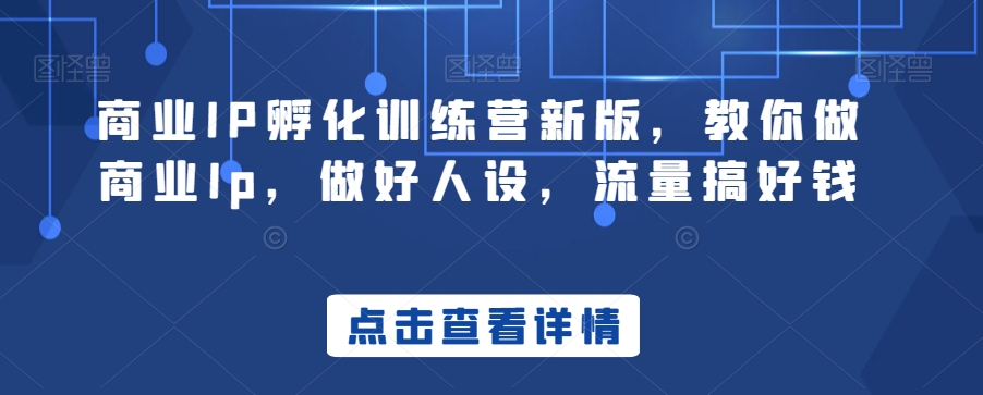 商业IP孵化训练营新版，教你做商业Ip，做好人设，流量搞好钱-苏柒资源库