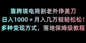 靠跨境电商割老外挣美刀,日入1000+月入几万轻轻松松!多种变现方式,落地保姆级教程【揭秘】-苏柒资源库