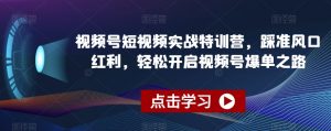 视频号短视频实战特训营,踩准风口红利,轻松开启视频号爆单之路-苏柒资源库