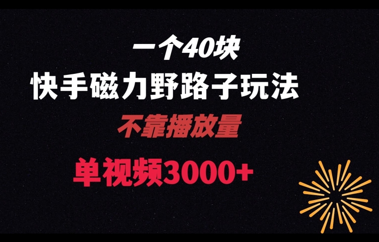 一个40块，快手联合美团磁力新玩法，无视机制野路子玩法，单视频收益4位数【揭秘】-苏柒资源库