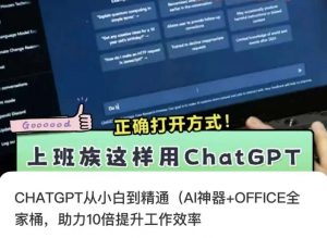 CHATGPT从小白到精通，AI神器+OFFICE全家桶，助力10倍提升工作效率-苏柒资源库