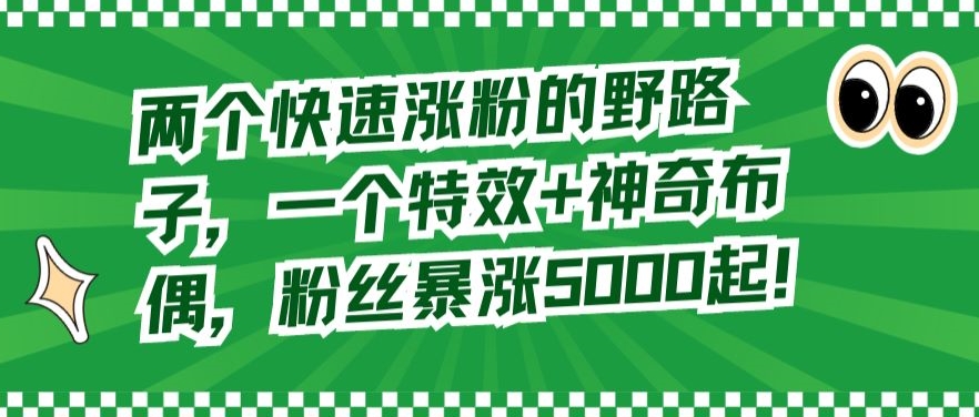 两个快速涨粉的野路子，一个特效+神奇布偶，粉丝暴涨5000起【揭秘】-苏柒资源库