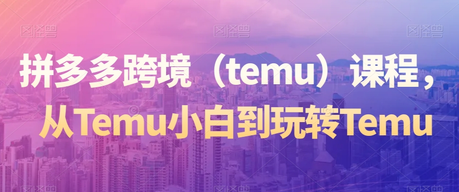 拼多多跨境（temu）课程，从Temu小白到玩转Temu-苏柒资源库