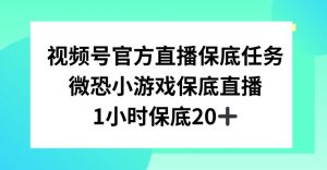 视频号直播任务，微恐小游戏，1小时20+【揭秘】-苏柒资源库