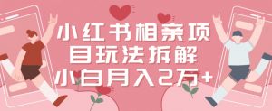 小红书相亲项目玩法拆解,有人通过这个副业项目做到了月收入2万多【揭秘】-苏柒资源库