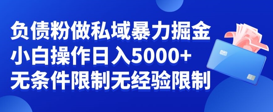 负债粉私域暴力掘金，小白操作入5000，无经验限制，无条件限制【揭秘】-苏柒资源库