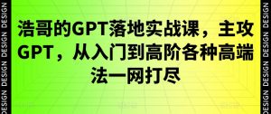 浩哥的GPT落地实战课,主攻GPT,从入门到高阶各种高端法一网打尽-苏柒资源库