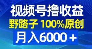 视频号野路子撸收益,100%原创,条条爆款,月入6000+【揭秘】-苏柒资源库