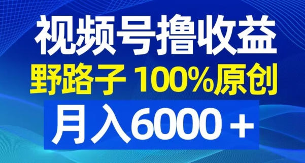 视频号野路子撸收益，100%原创，条条爆款，月入6000＋【揭秘】-苏柒资源库