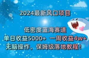 2024最新风口项目,低密度蓝海赛道,单日收益5000+,一周收益4w+!【揭秘】-苏柒资源库