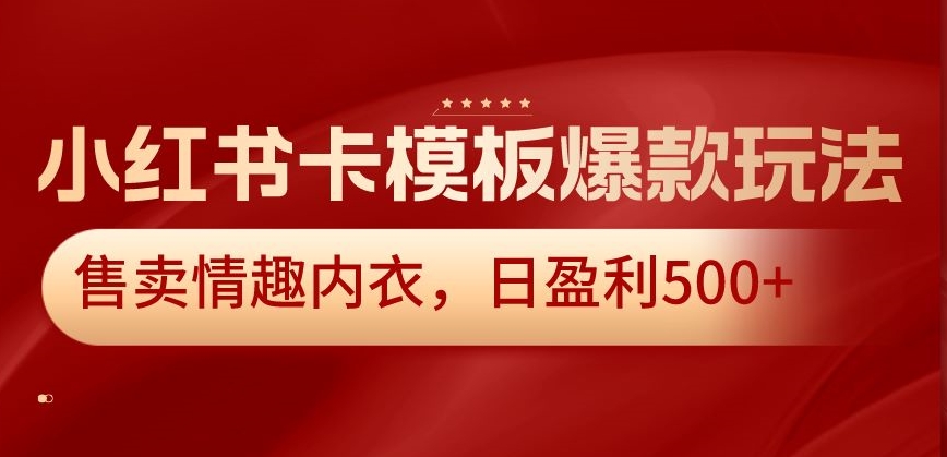 小红书卡模板爆款玩法，售卖情趣内衣，日盈利500+【揭秘】-苏柒资源库
