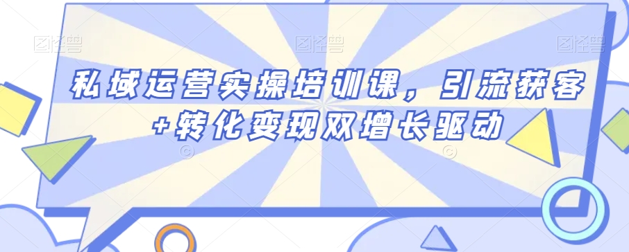 私域运营实操培训课，引流获客+转化变现双增长驱动-苏柒资源库