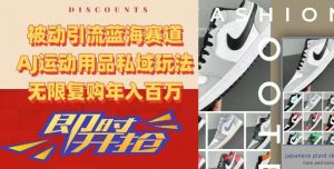 被动引流蓝海赛道，AJ运动用品私域玩法，无限复购年入百万【揭秘】-苏柒资源库