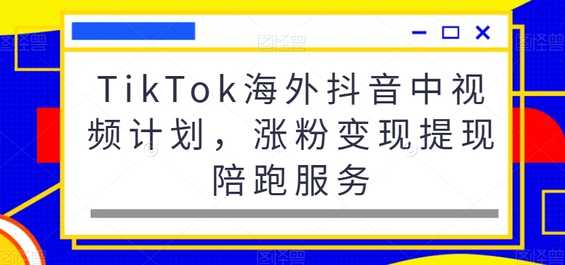 TikTok海外抖音中视频计划，涨粉变现提现陪跑服务-苏柒资源库
