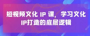 短视频文化IP课,学习文化IP打造的底层逻辑-苏柒资源库