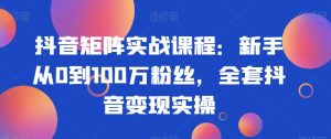 抖音矩阵实战课程:新手从0到100万粉丝,全套抖音变现实操-苏柒资源库