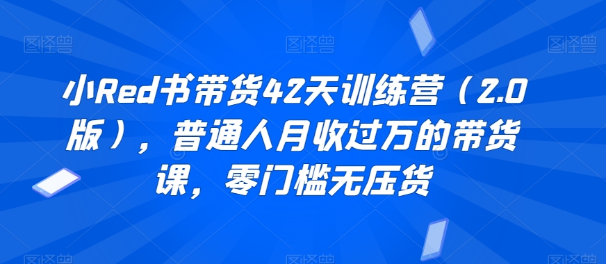 小Red书带货42天训练营（2.0版），普通人月收过万的带货课，零门槛无压货-苏柒资源库