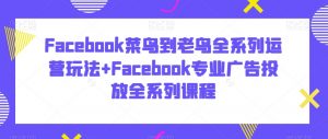 Facebook菜鸟到老鸟全系列运营玩法+Facebook专业广告投放全系列课程-苏柒资源库