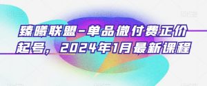 臻曦联盟-单品微付费正价起号，2024年1月最新课程-苏柒资源库