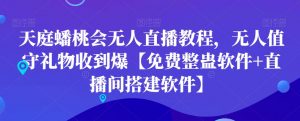 天庭蟠桃会无人直播教程,无人值守礼物收到爆【免费整蛊软件+直播间搭建软件】-苏柒资源库