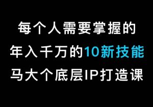 马大个的IP底层逻辑课,每个人需要掌握的年入千万的10新技能,约会底层IP打造方法!-苏柒资源库