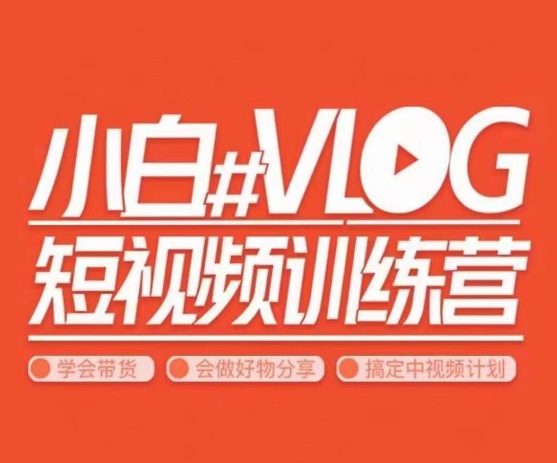 小呆说视–小白VLOG短视频训练营，学会带货、好物、直播、中视频-苏柒资源库