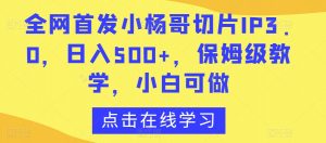 全网首发小杨哥切片IP3.0,日入500+,保姆级教学,小白可做【揭秘】-苏柒资源库