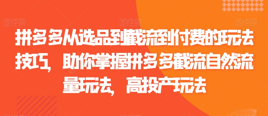 拼多多从选品到截流到付费的玩法技巧，助你掌握拼多多截流自然流量玩法，高投产玩法-苏柒资源库