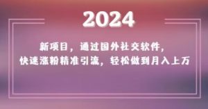 2024新项目,通过国外社交软件,快速涨粉精准引流,轻松做到月入上万【揭秘】-苏柒资源库