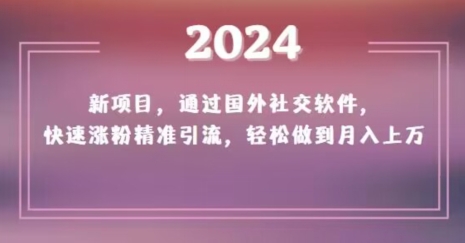 2024新项目，通过国外社交软件，快速涨粉精准引流，轻松做到月入上万【揭秘】-苏柒资源库