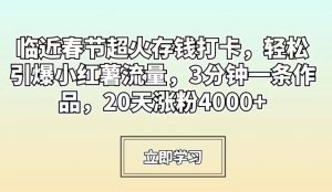 临近春节超火存钱打卡,轻松引爆小红薯流量,3分钟一条作品,20天涨粉4000+【揭秘】-苏柒资源库
