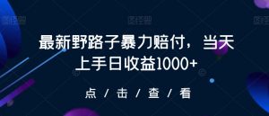 最新野路子暴力赔付,当天上手日收益1000+【仅揭秘】-苏柒资源库