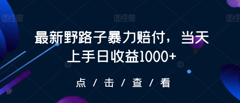 最新野路子暴力赔付，当天上手日收益1000+【仅揭秘】-苏柒资源库