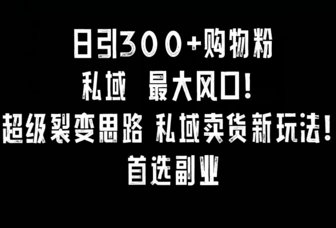 日引300+购物粉，超级裂变思路，私域卖货新玩法，小红书首选副业【揭秘】-苏柒资源库
