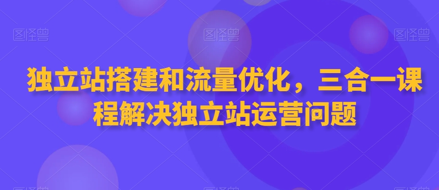独立站搭建和流量优化，三合一课程解决独立站运营问题-苏柒资源库
