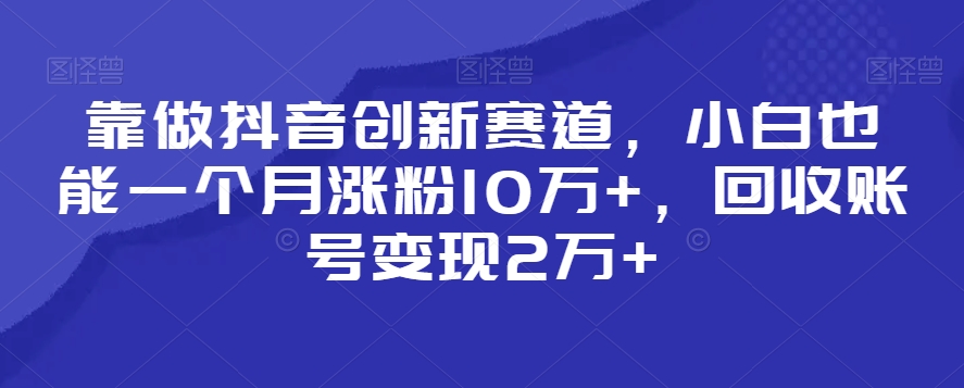 靠做抖音创新赛道，小白也能一个月涨粉10万+，回收账号变现2万+【揭秘】-苏柒资源库