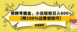 视频号掘金,小白轻松日入800+(附100%过原创技巧)【揭秘】-苏柒资源库