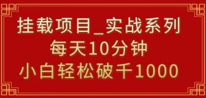 挂载项目,小白轻松破1000,每天10分钟,实战系列保姆级教程【揭秘】-苏柒资源库