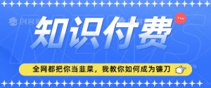 2024最新知识付费项目,小白也能轻松入局,全网都在教你做项目,我教你做镰刀【揭秘】-苏柒资源库